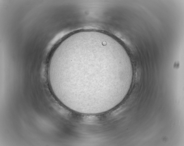 X0000090421454200708101931