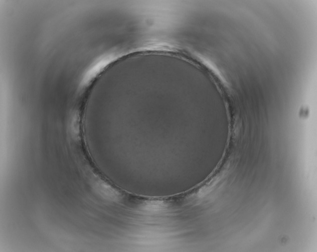 X0000090421455200708101931