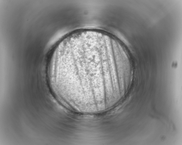 X0000090421456200708101931