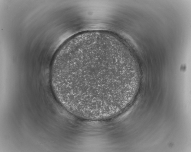 X0000090421457200708101931