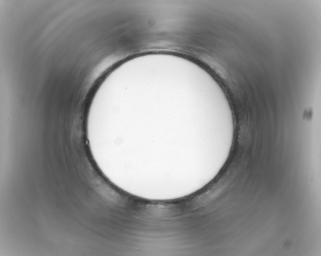 X0000090421458200708101931