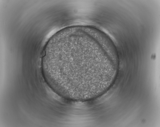 X0000090421459200708101931