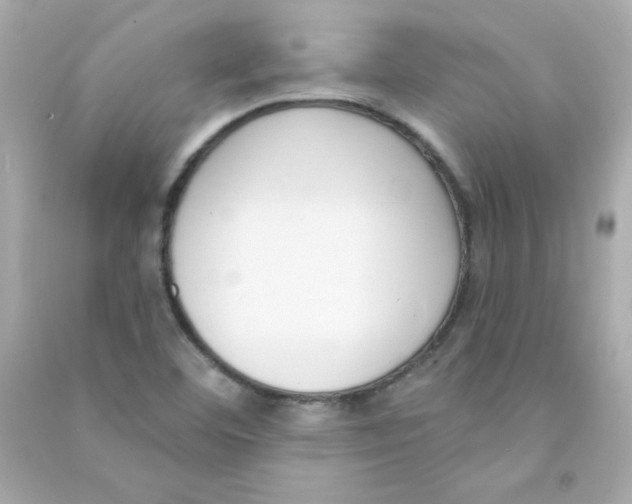 X0000090421460200708101931