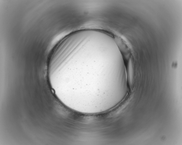 X0000090421461200708101931