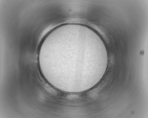 X0000090421462200708101931