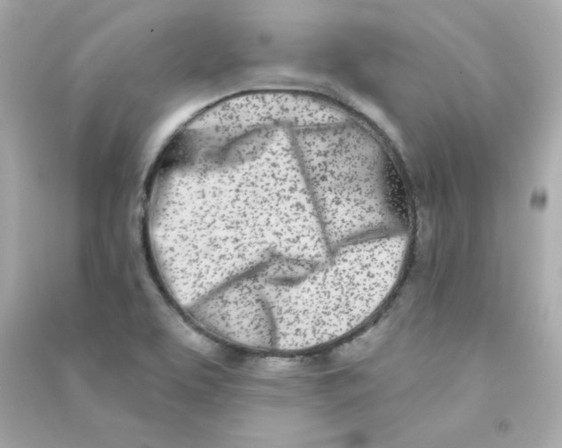 X0000090421463200708101931