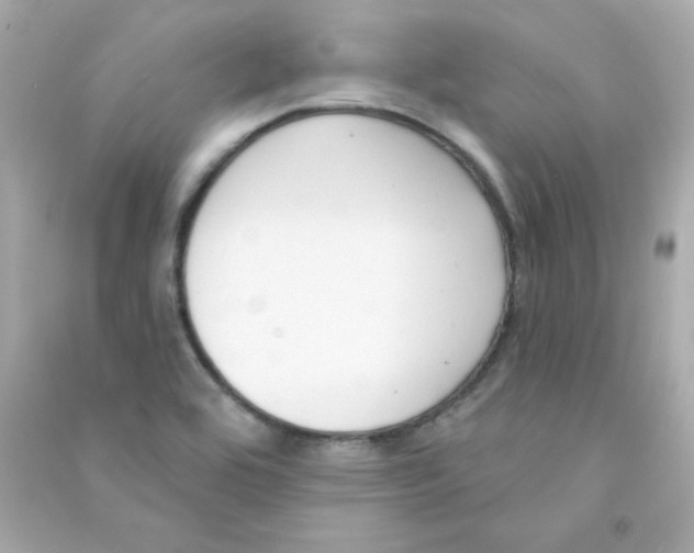 X0000090421464200708101931