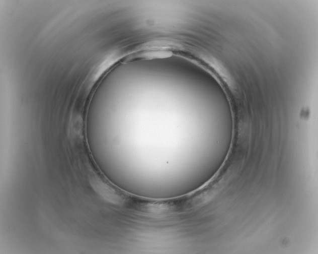 X0000090421465200708101931