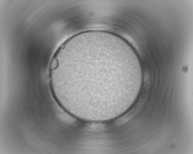 X0000090421466200708101931