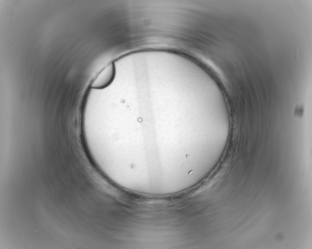 X0000090421467200708101931