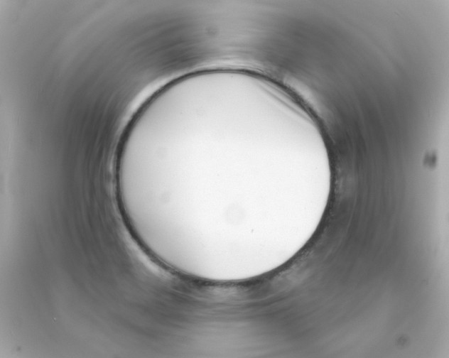 X0000090421468200708101931