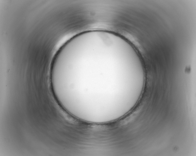 X0000090421469200708101931