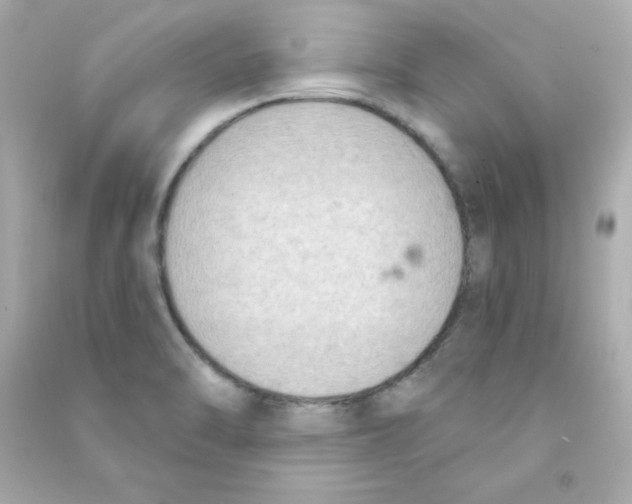 X0000090421470200708101931