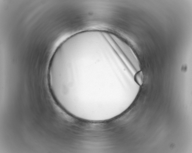 X0000090421471200708101931