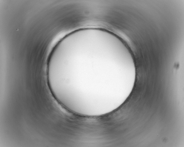 X0000090421472200708101931