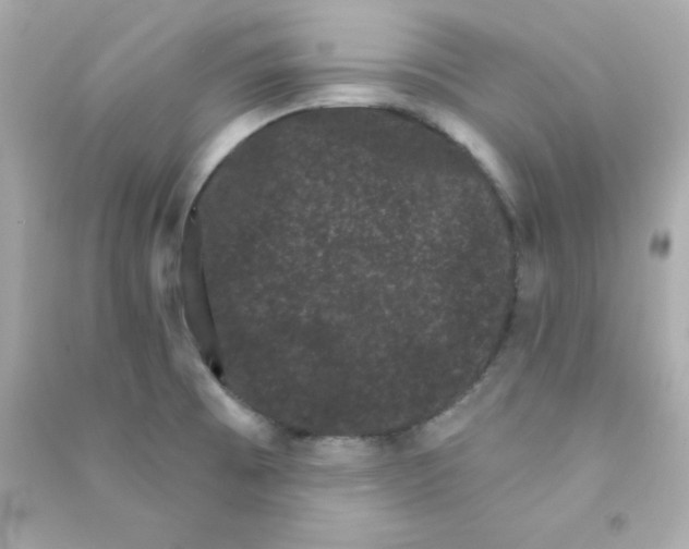 X0000090421473200708101931