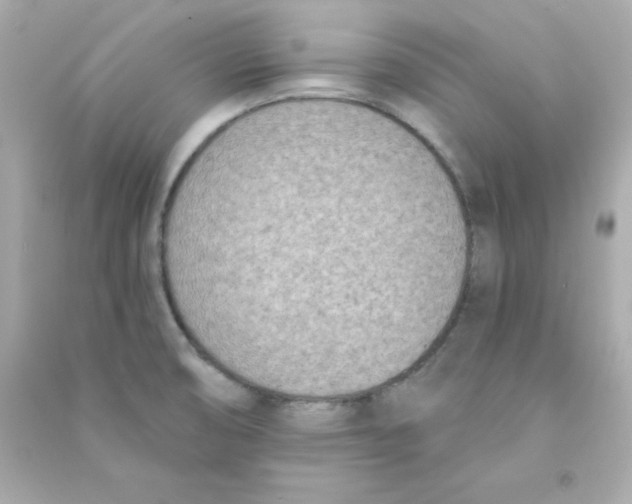 X0000090421474200708101931