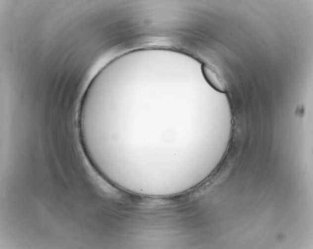 X0000090421475200708101931