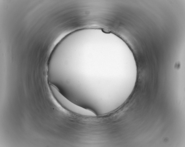 X0000090421476200708101931