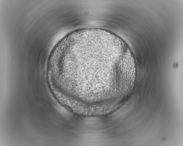 X0000090421477200708101931