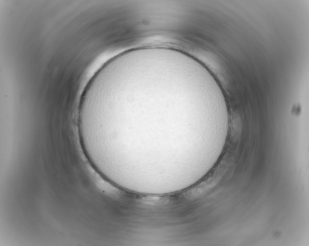 X0000090421478200708101931