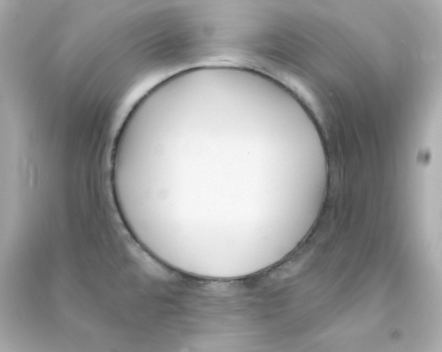 X0000090421480200708101931