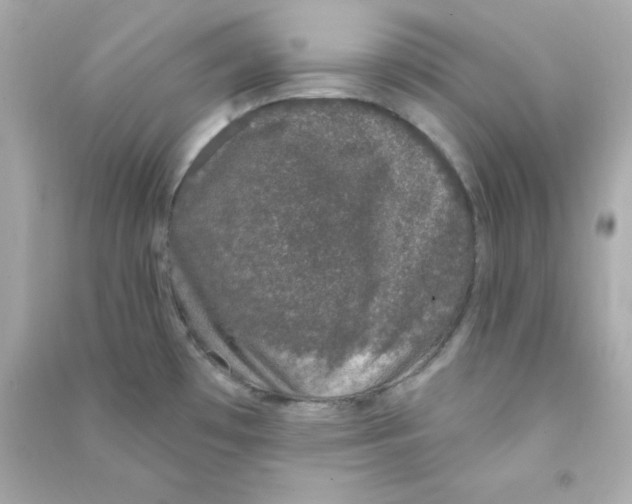 X0000090421481200708101931