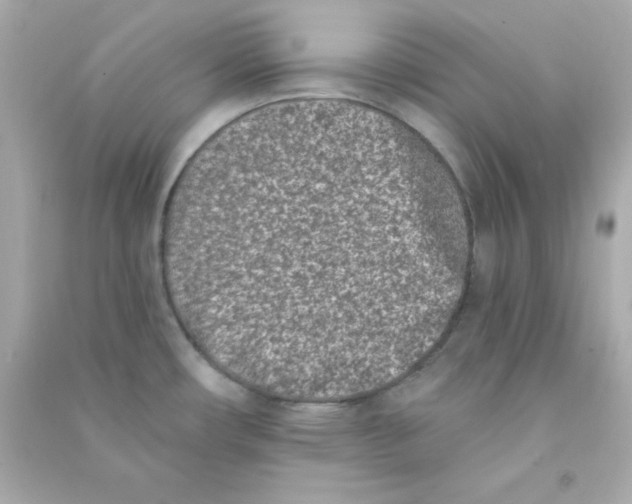 X0000090421482200708101931