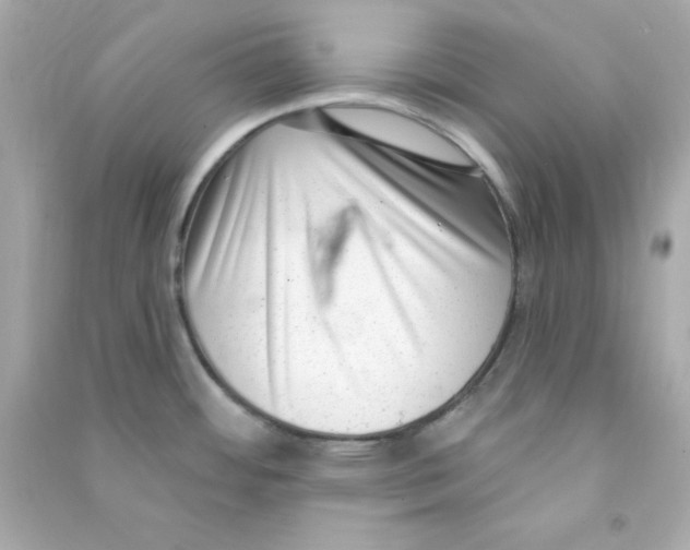 X0000090421484200708101931