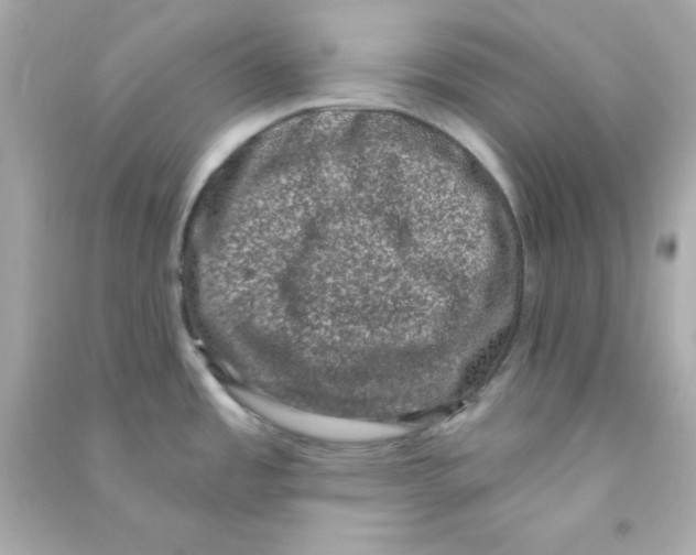 X0000090421485200708101931