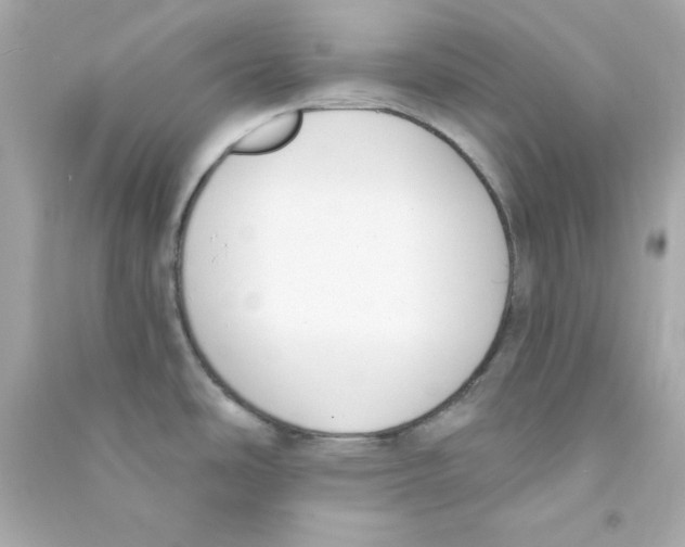 X0000090421486200708101931