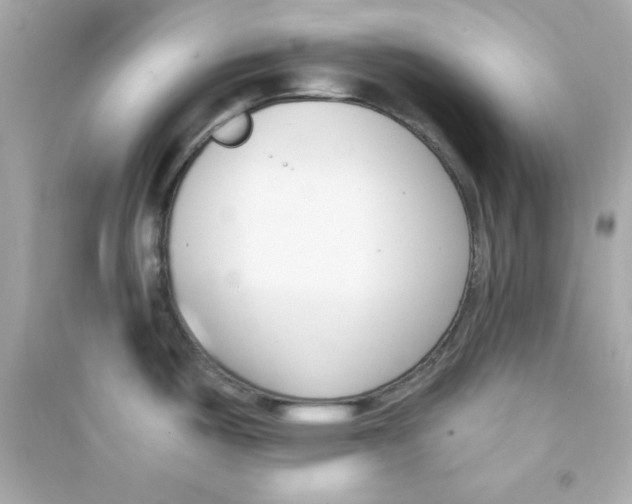 X0000090421487200708101931