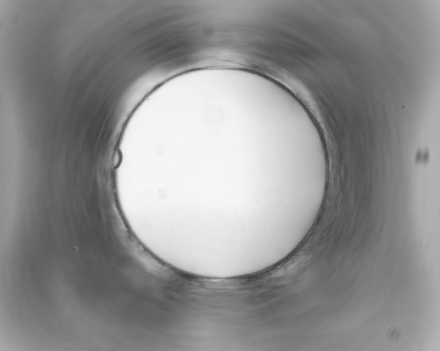 X0000090421488200708101931