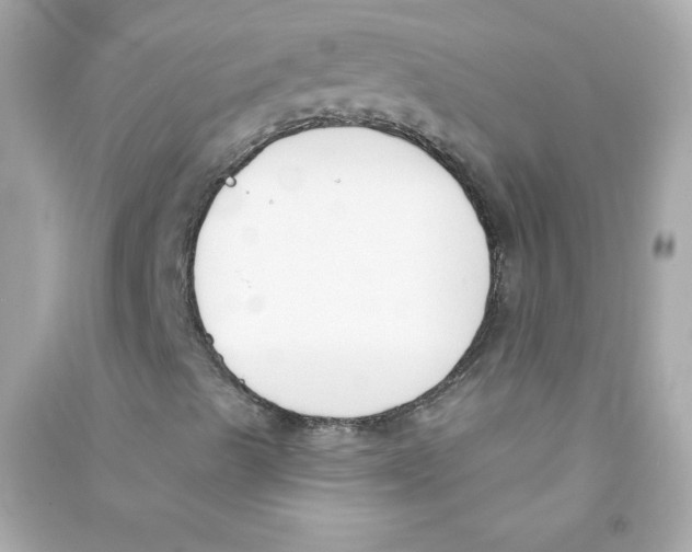 X0000090421489200708101930