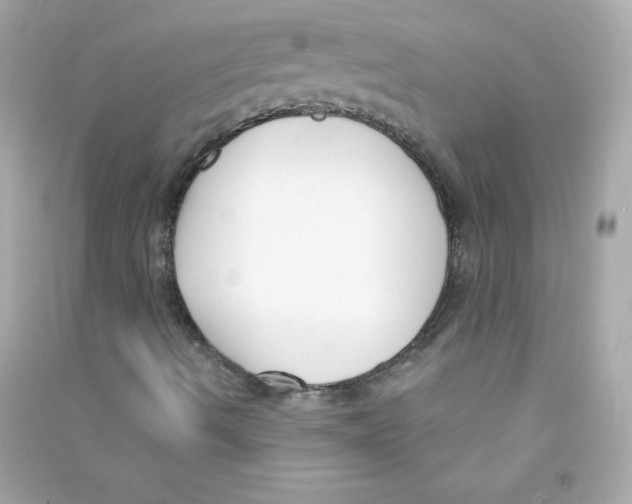 X0000090421490200708101930