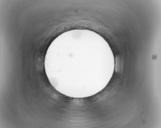 X0000090421491200708101930