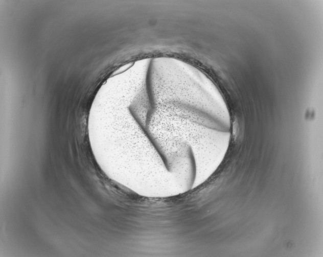 X0000090421492200708101930