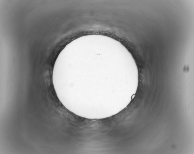 X0000090421493200708101930