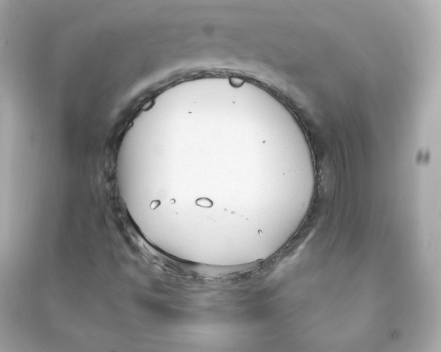 X0000090421494200708101930