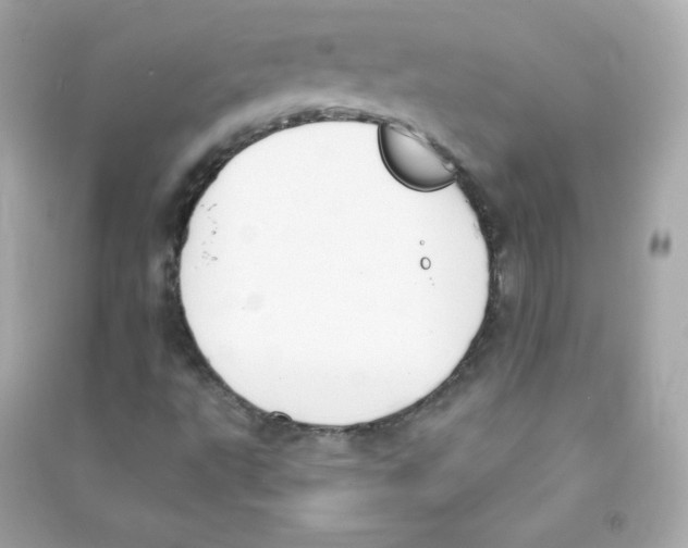 X0000090421495200708101930