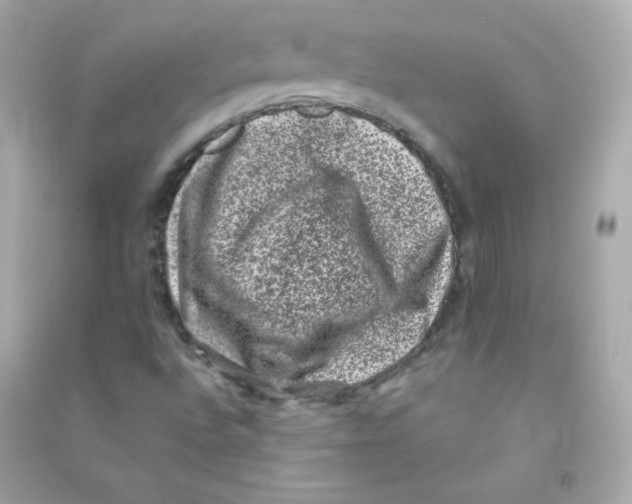 X0000090421496200708101930