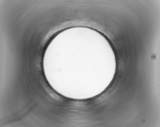 X0000090421499200708101930