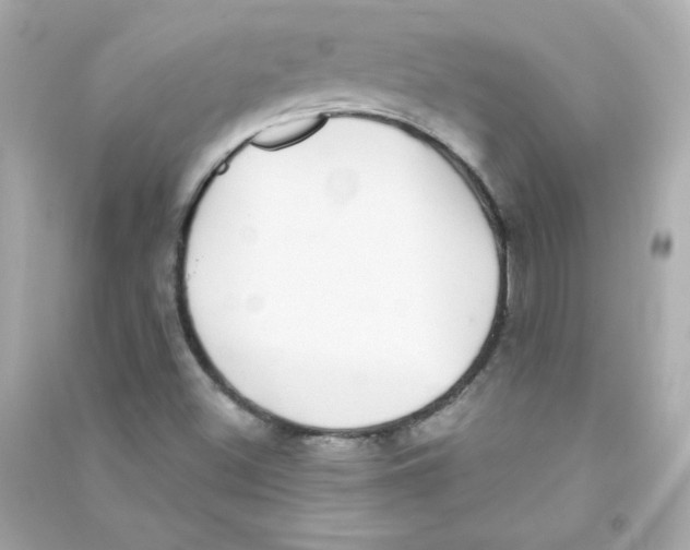 X0000090421500200708101930