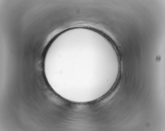 X0000090421501200708101930