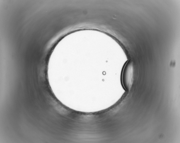 X0000090421502200708101930