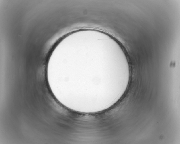 X0000090421503200708101930