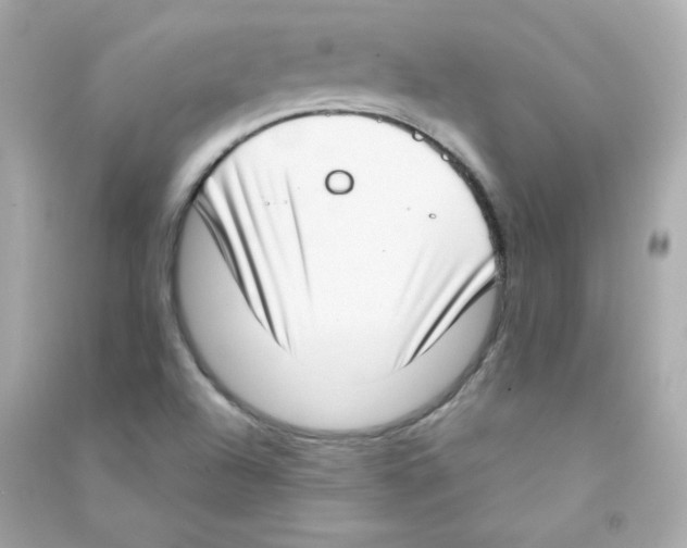 X0000090421504200708101930