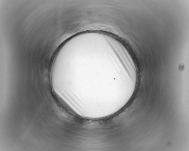 X0000090421505200708101930