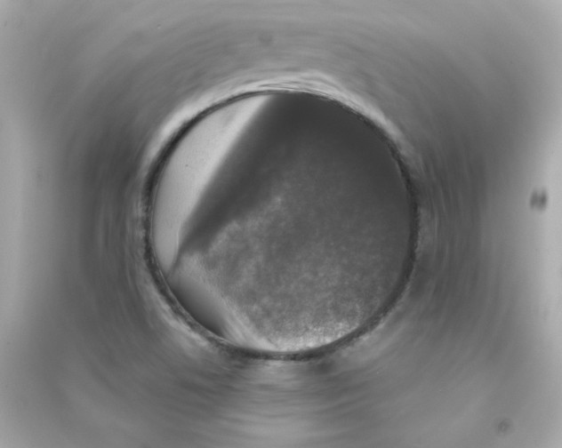 X0000090421506200708101930