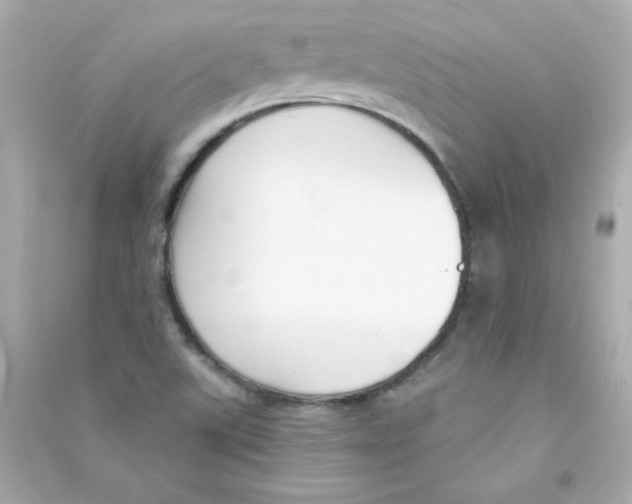 X0000090421507200708101930